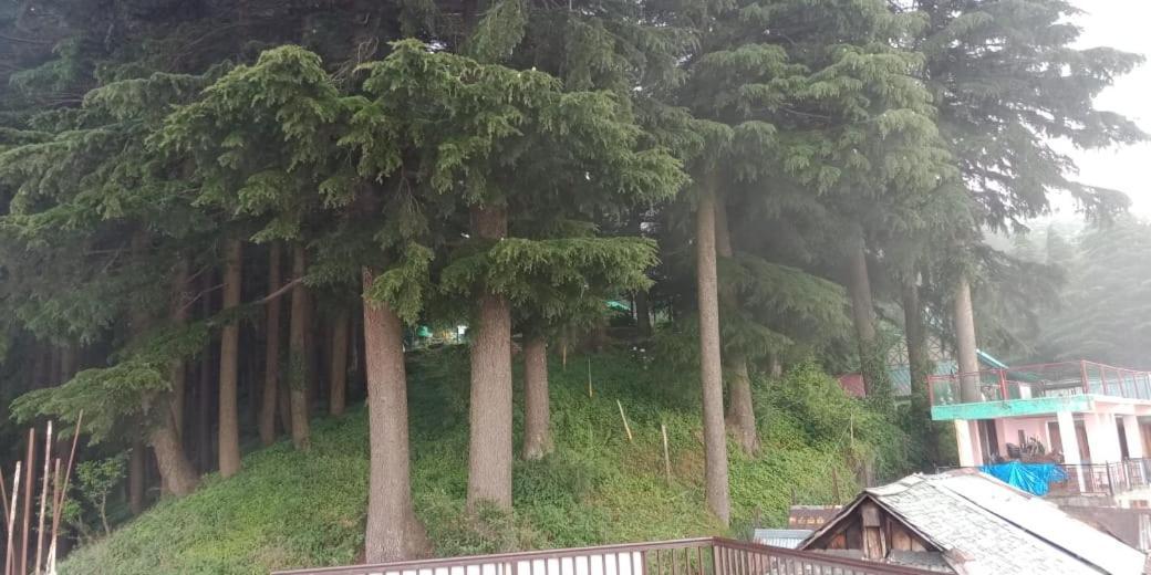 Hotel Forest View Lāhri 外观 照片