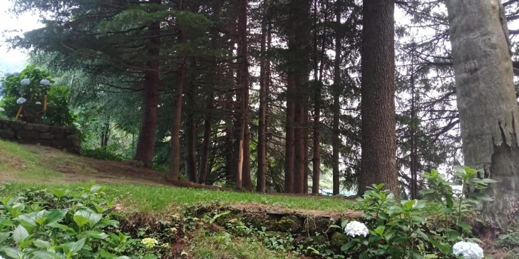 Hotel Forest View Lāhri 外观 照片